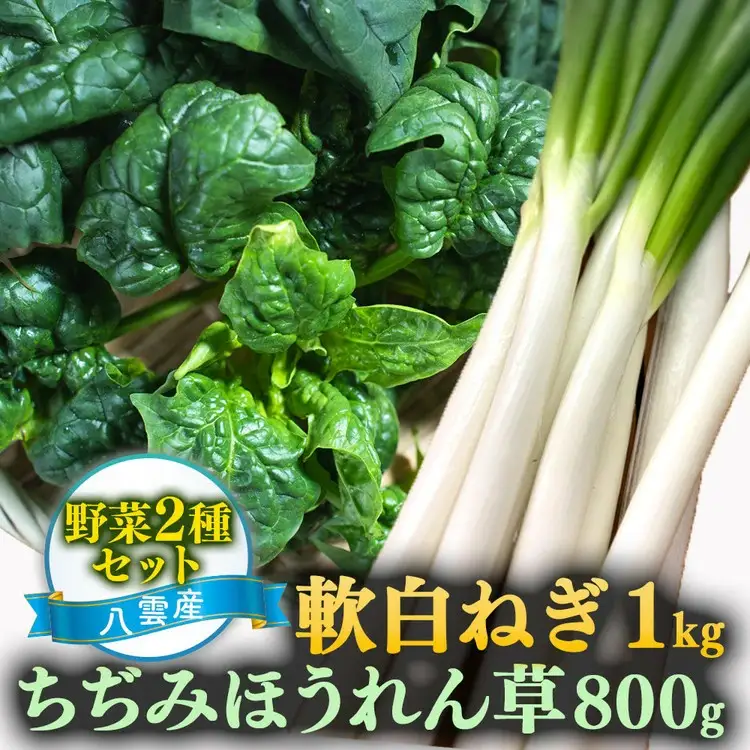 【先行予約】八雲産 軟白ねぎ 1kg + 寒ちぢみ ほうれん草 800g セット ※2026年12月～発送