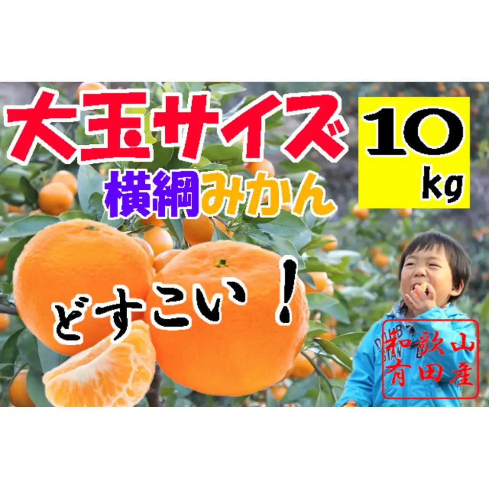 横綱有田みかん 大玉サイズ10kg