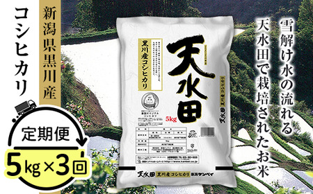 27-53D【3ヶ月連続お届け】新潟県黒川産コシヒカリ5kg【天水田】
