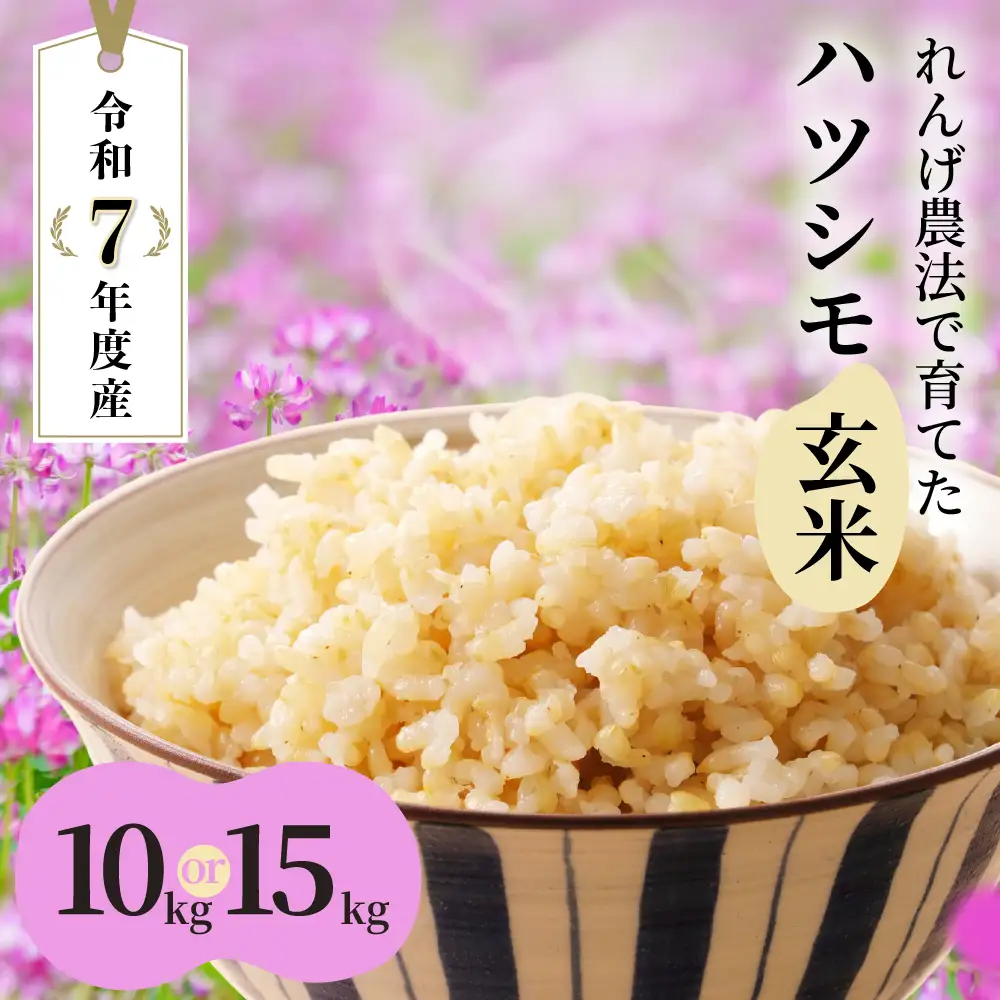玄米 R7年産 15kg  ハツシモ｜玄米