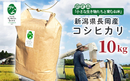 25-8SC101A【精米】新潟県長岡産コシヒカリ10kg【「小さな生き物たちと育むお米」認証品】