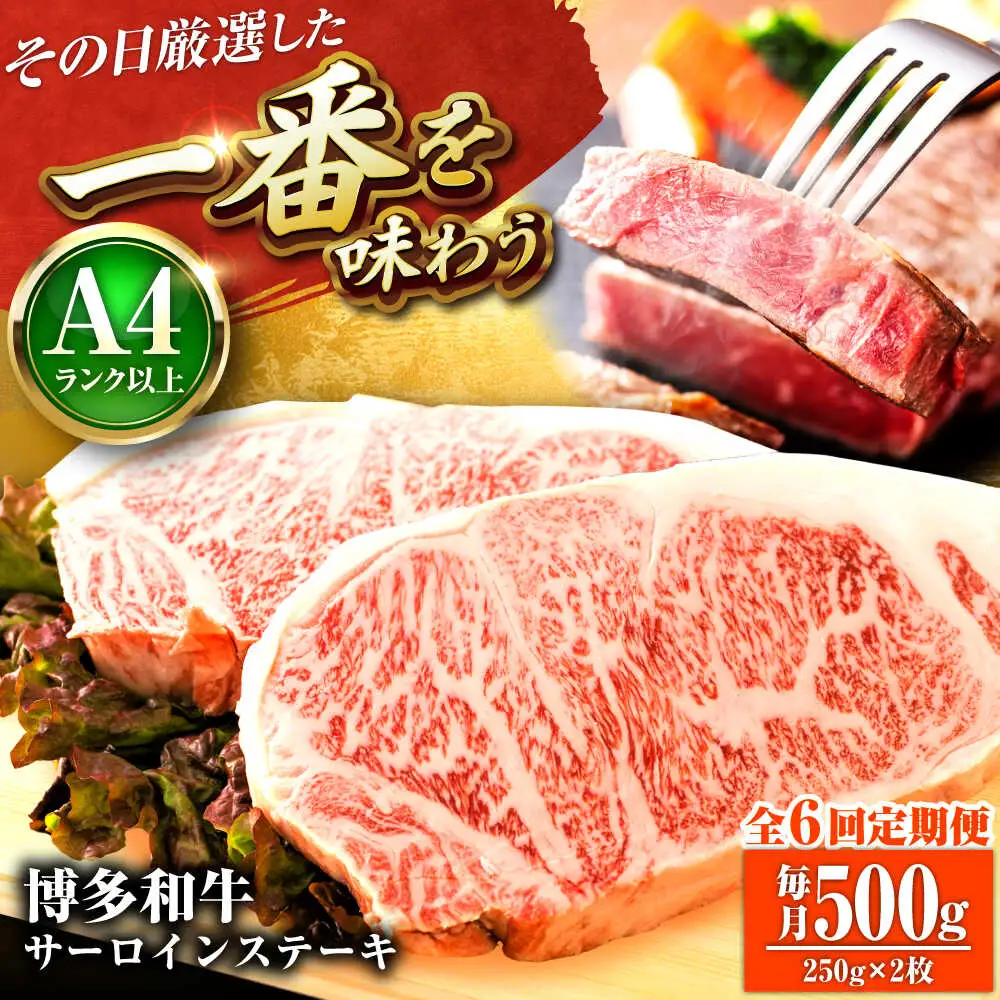 【全6回定期便】【A4-A5】博多和牛 サーロインステーキ 500g(250g×2枚) [BGAB113]