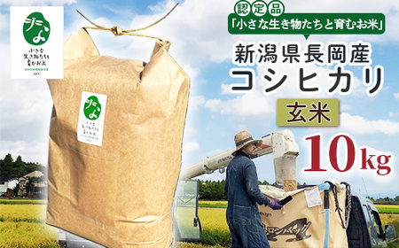 25-8GC101A【玄米】新潟県長岡産コシヒカリ10kg【「小さな生き物たちと育むお米」認証品】