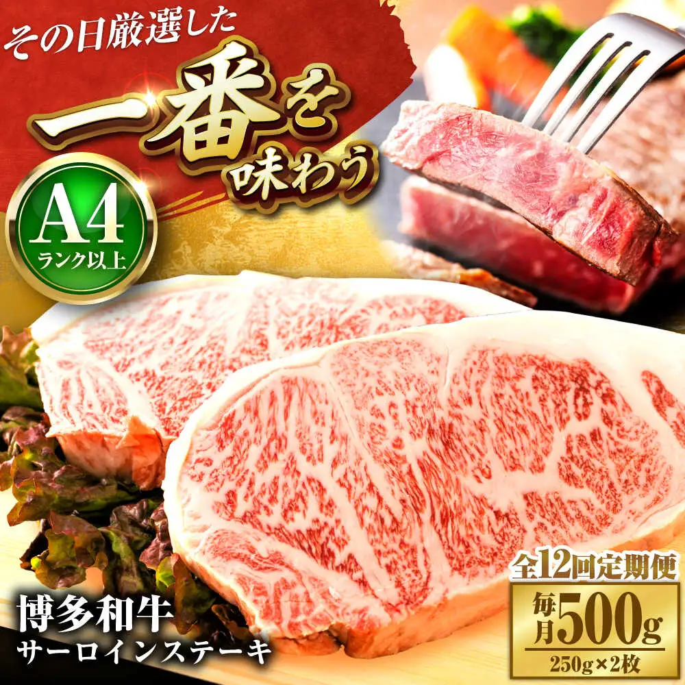 【全12回定期便】【A4-A5】博多和牛 サーロインステーキ 500g(250g×2枚) [BGAB114]