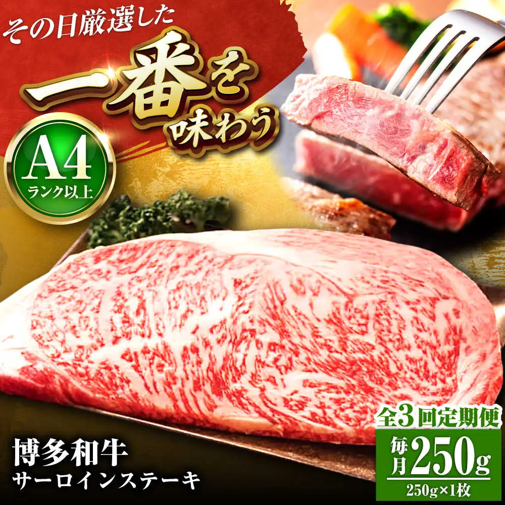 【全3回定期便】【A4-A5】博多和牛 サーロインステーキ 250g(250g×1枚) [BGAB115]