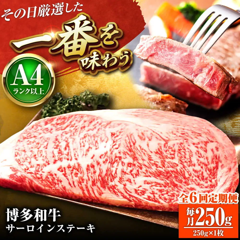 【全6回定期便】【A4-A5】博多和牛 サーロインステーキ 250g(250g×1枚) [BGAB116]