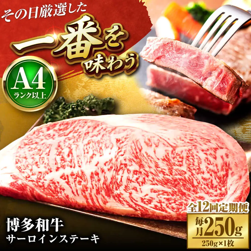 【全12回定期便】【A4-A5】博多和牛 サーロインステーキ 250g(250g×1枚) [BGAB117]