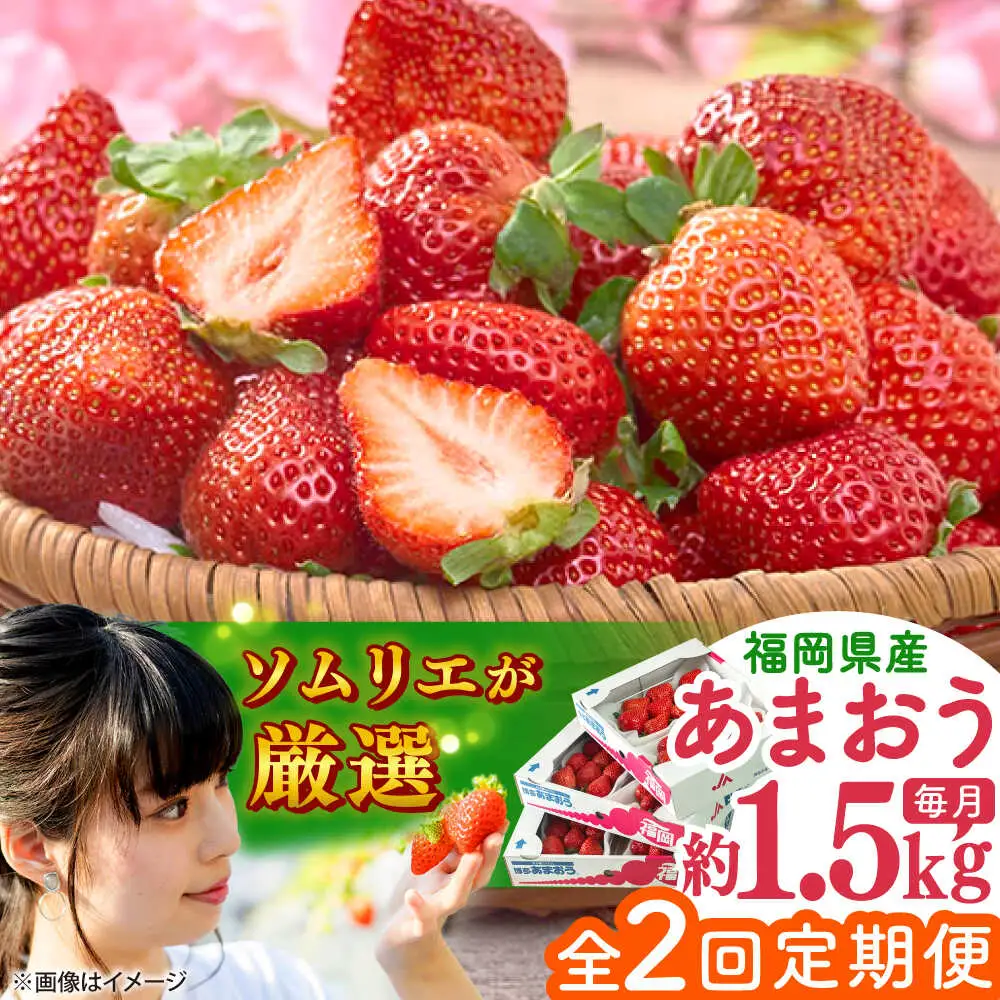 【全2回定期便】福岡産 春あまおう 250g×6P BGAG052 あまおう