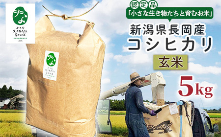 25-8GC051A【玄米】新潟県長岡産コシヒカリ5kg【「小さな生き物たちと育むお米」認証品】