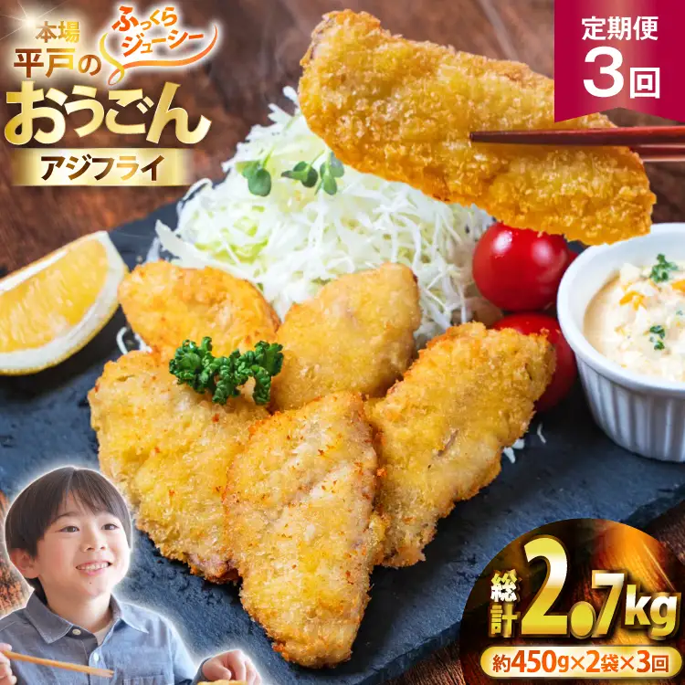 アジフライ おうごんアジフライ 約450g 2袋 (30～40枚) 3回 定期便 計約2.7kg (90～120枚)