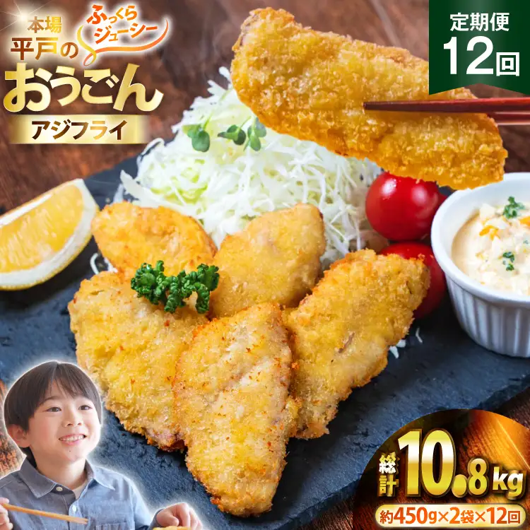 アジフライ おうごんアジフライ 約450g×2袋 (30～40枚) 12回 定期便 計約10.8kg (360～480枚)