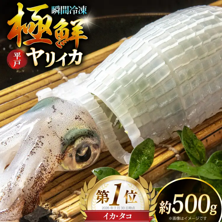 イカ 【ランキング1位獲得！】 極鮮ヤリイカ 刺身 約500g