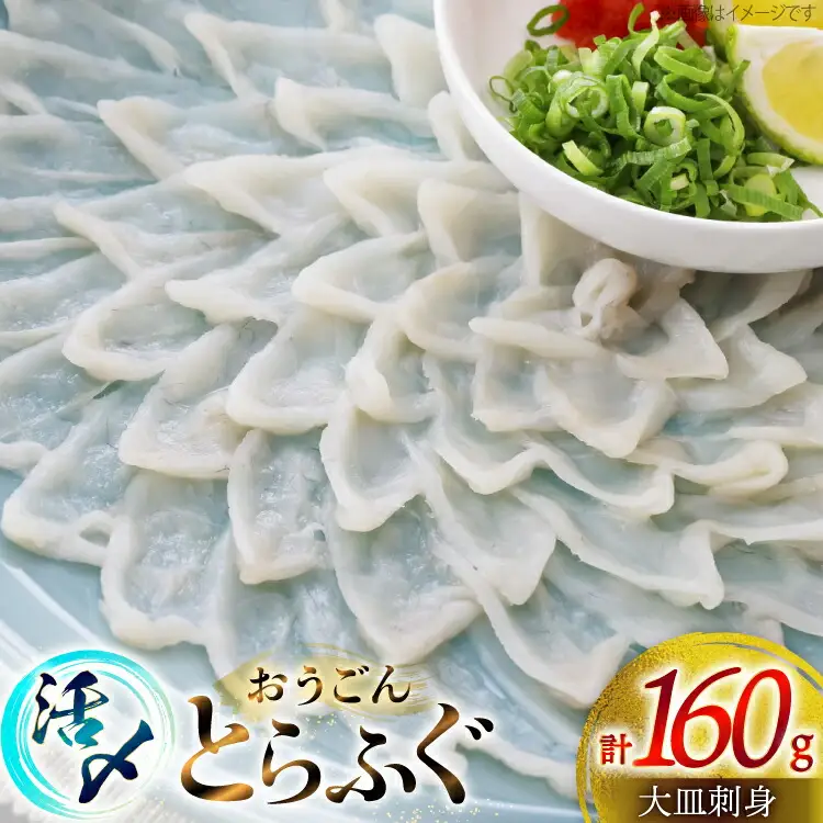 ふぐ 刺身 おうごんとらふぐ 大皿 刺身 80g×2 合計 160g