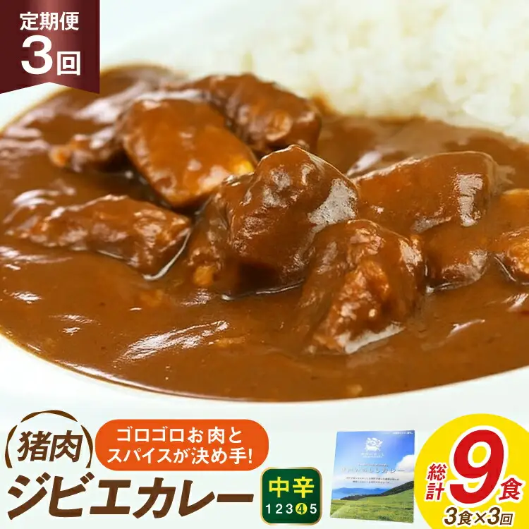 カレー スパイス 平戸 イノシシ カレー 3食 セット 3回 定期便 総計 9食