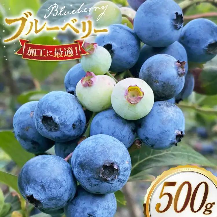 ブルーベリー 冷凍 250g 2パック 計 500g