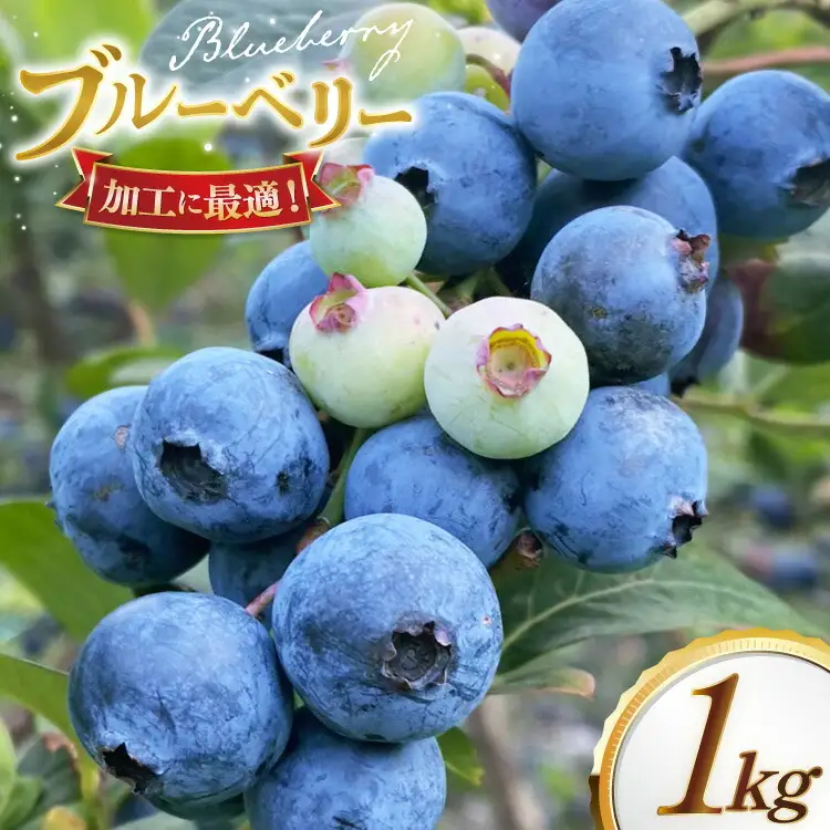 ブルーベリー 冷凍 250g 4パック 計 1kg