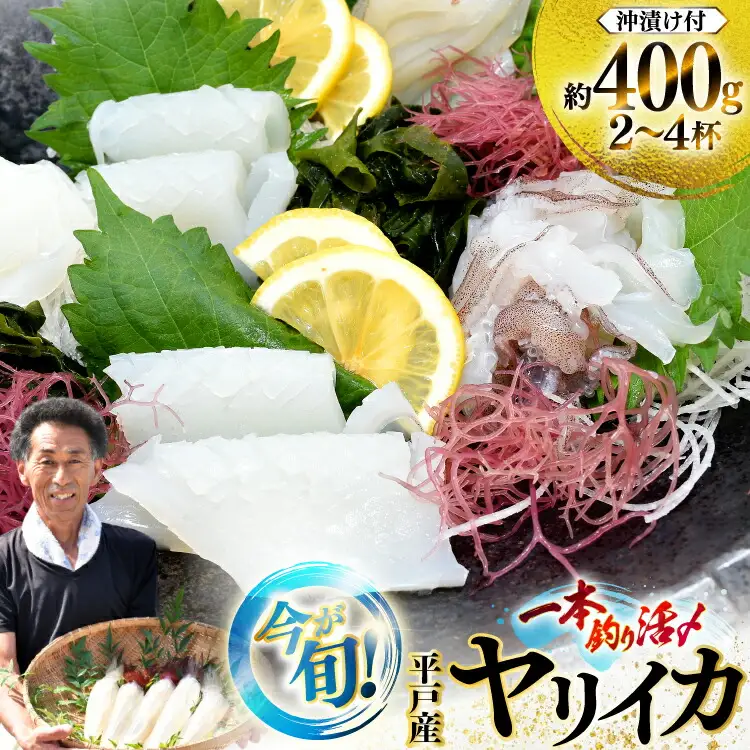 イカ 刺身 今が旬の ヤリイカ（ 沖漬け 付）2～4杯 約400g 先行予約