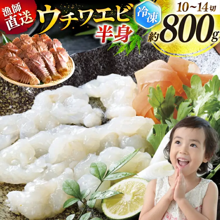 うちわえび エビ 海老 海鮮 冷凍 小分け ウチワエビ半身 約800g 10～14切