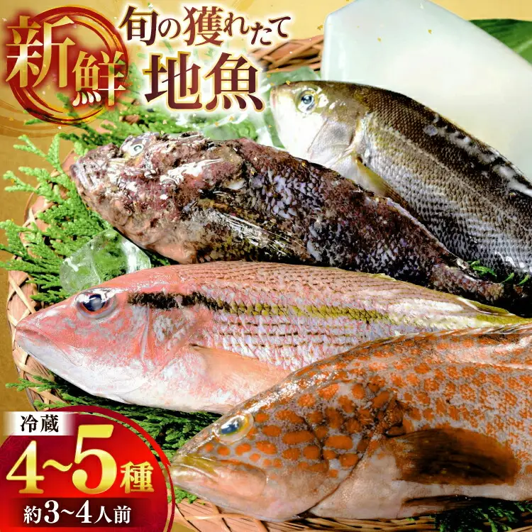 鮮魚 詰め合わせ 旬の獲れたて鮮魚 4種 ～ 5種
