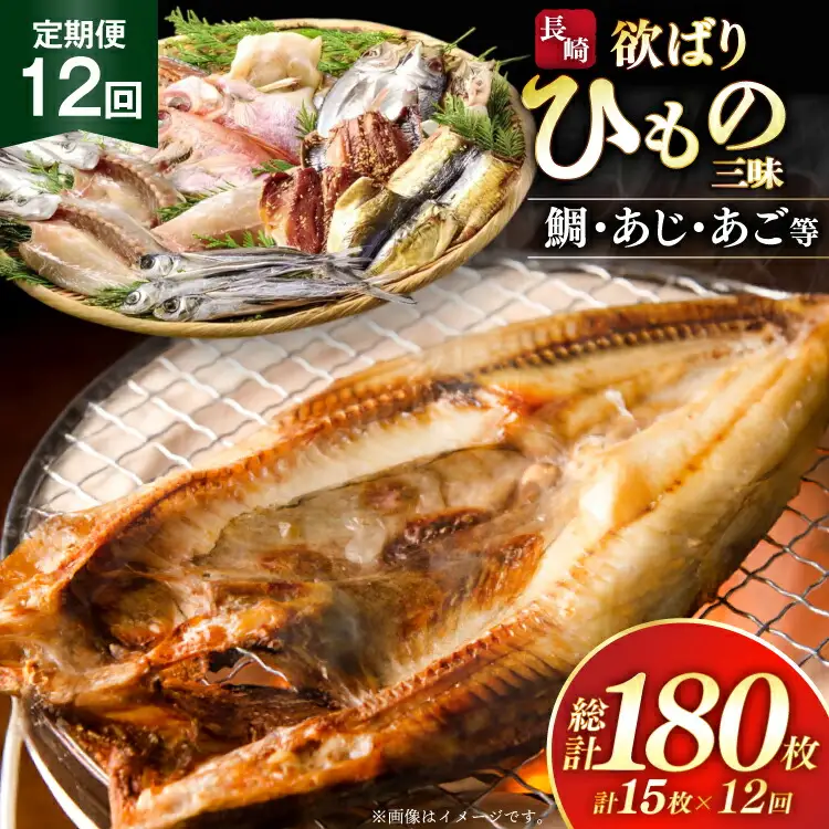 干物 セット 欲ばり平戸ひもの三昧 9種 詰め合わせ 12回 定期便
