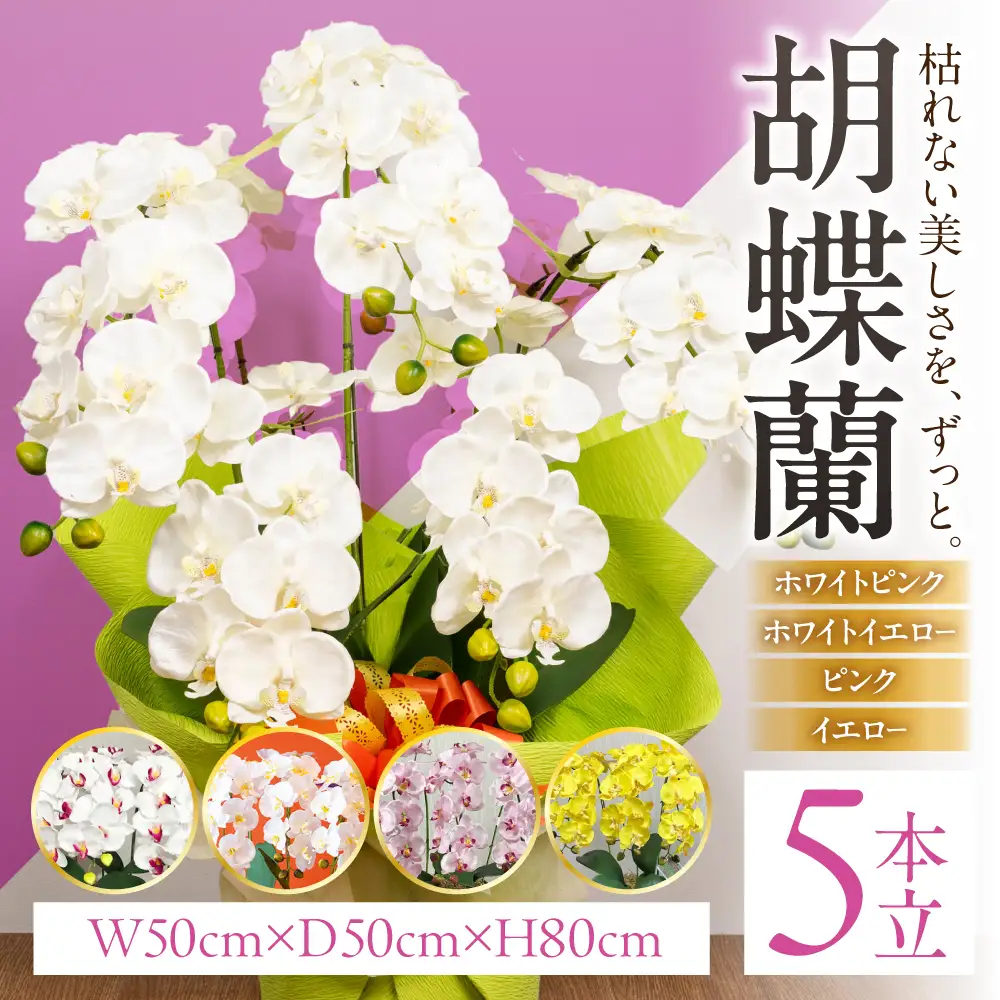 光触媒造花胡蝶蘭 5本立（ホワイトイエロー)｜胡蝶蘭