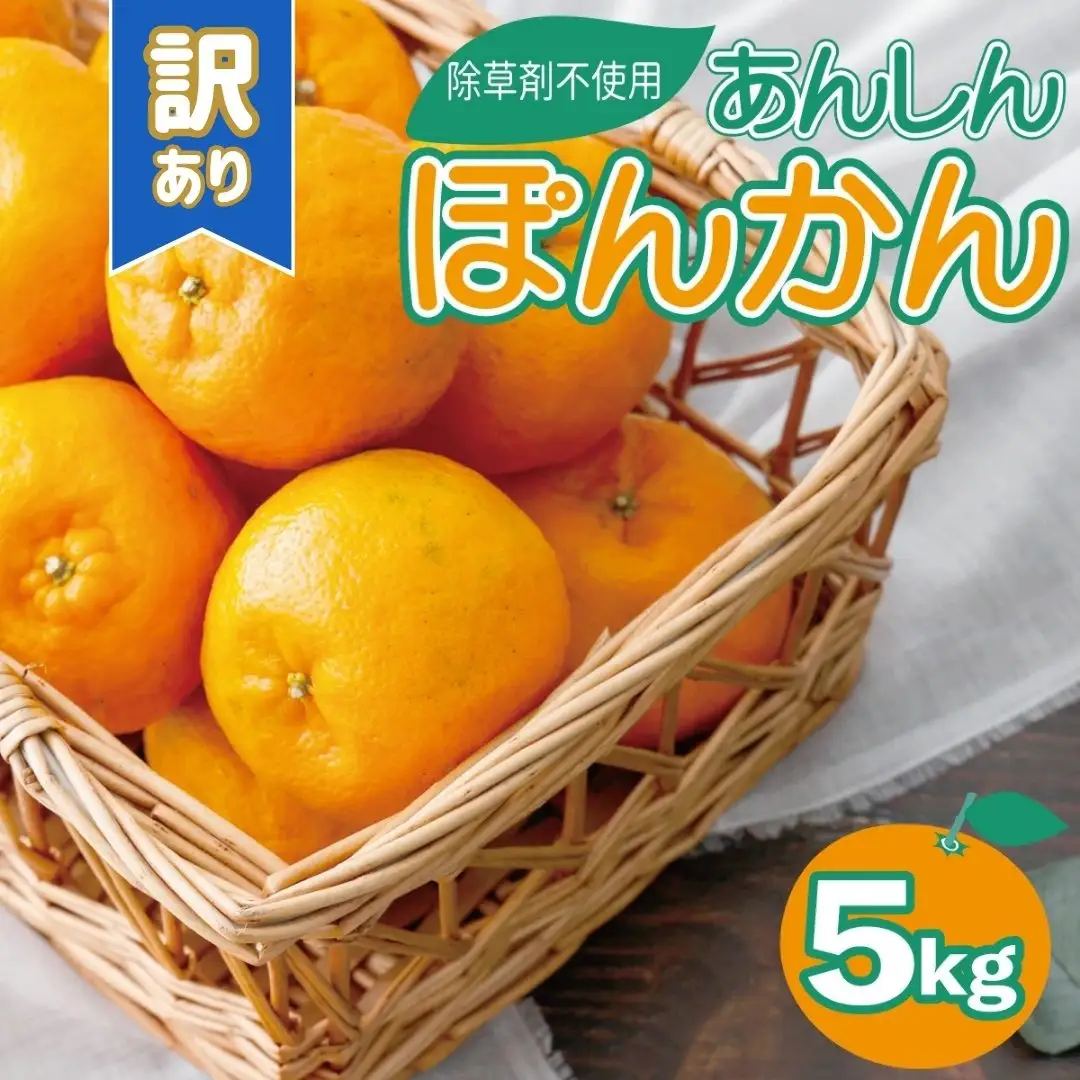 【先行予約】訳ありポンカン＜5kg＞ 　[TS-03] 【ファーム手島】