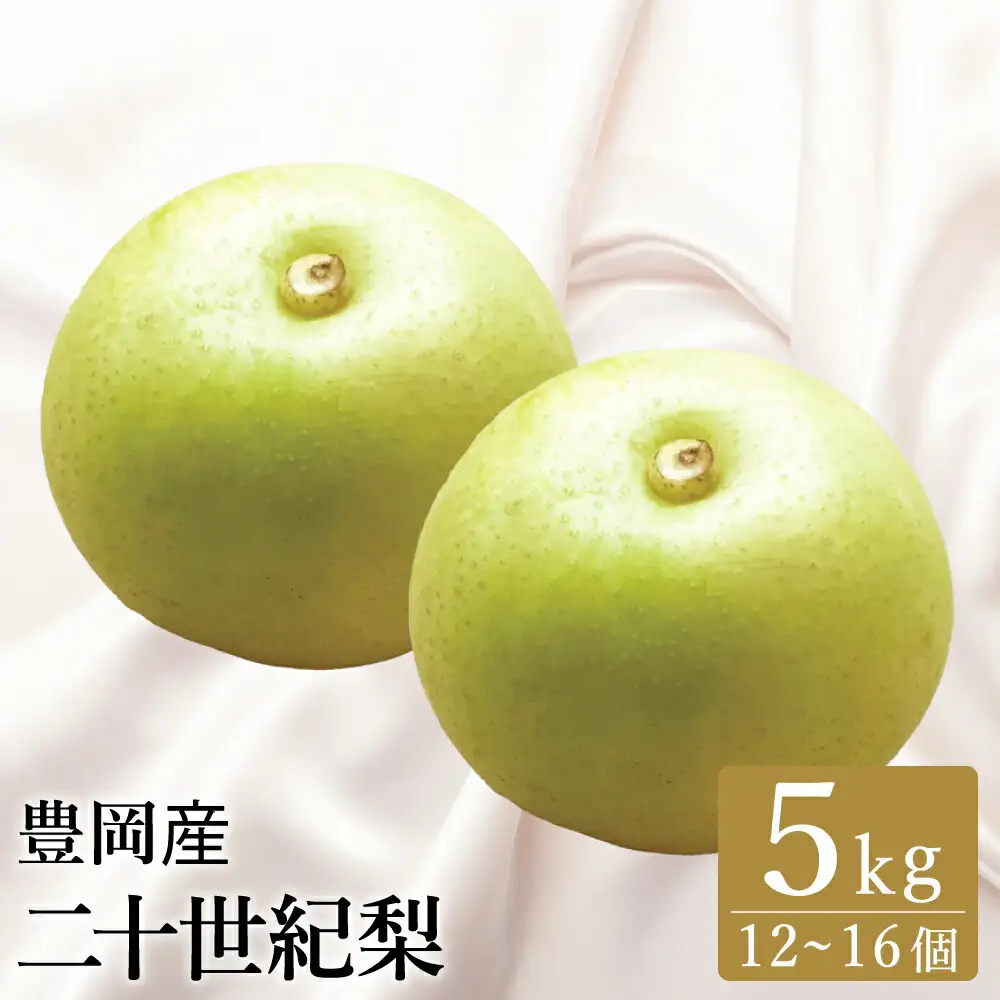 【2026年先行予約】二十世紀梨 5kg（12個～16個） / 梨 産地直送 みずみずしい シャリシャリ 食感 さっぱり バランスの良い 酸味 甘味 減農薬 なし ナシ 果物 くだもの フルーツ ふくい農園