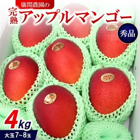 【2027年6月下旬から順次発送・贈答用】儀間農園の完熟アップルマンゴー 秀品4kg(大玉7～8玉)【配送不可地域：離島】【1672927】