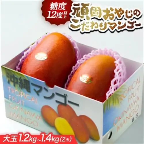 【2027年発送・糖度12度以上保証】頑固おやじのこだわりマンゴー大玉1.2kg～1.4kg(2玉)【配送不可地域：離島】【1675684】