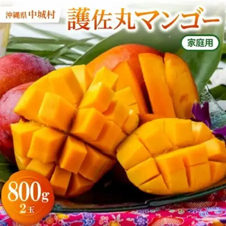 【2027年6月上旬から順次発送・家庭用】護佐丸マンゴー800g(2玉)【配送不可地域：離島】【1676033】