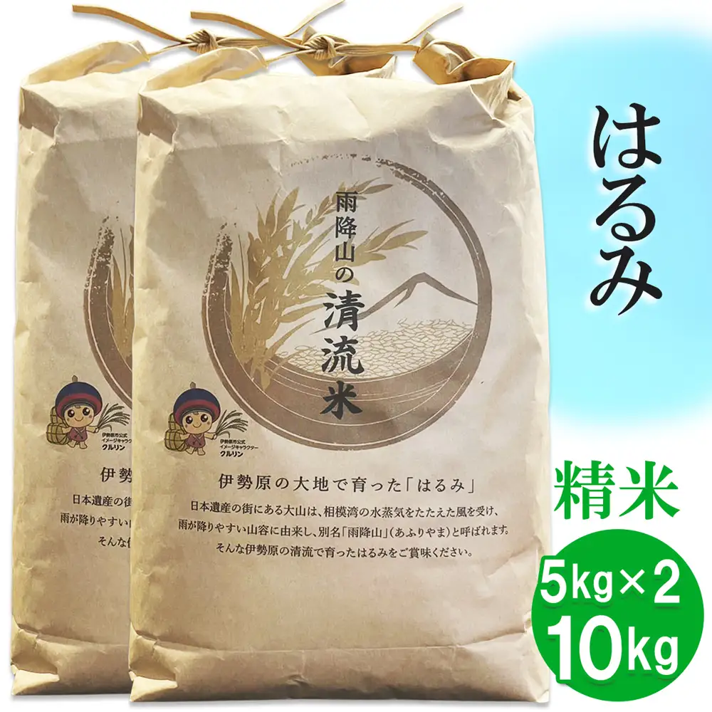 【精米】はるみ 10kg (5kg×2袋) 令和7年産 伊勢原米 [1036]