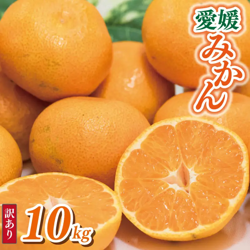 【みかん】訳あり 愛媛みかん 10kg | 愛媛県 松山市 【VEG1041】