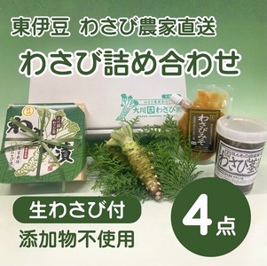 （冷蔵）わさび農家直送　無添加こだわり加工品+　生わさびセット 1383 ／ 大川因わさび園 わさび漬 わさび茎漬 わさび味噌 静岡県