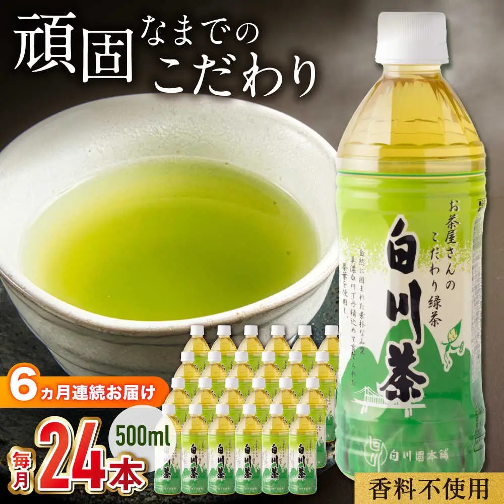 【6回定期便】緑茶ペットボトル 500ml×24本入 / 白川園本舗[AWAT007]緑茶