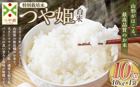 【令和7年産】〈白米〉 つや姫 10kg ＜1回のお届け＞ （特別栽培米） 山形県産 しらたかのお米 【2025年11月上旬発送開始予定】