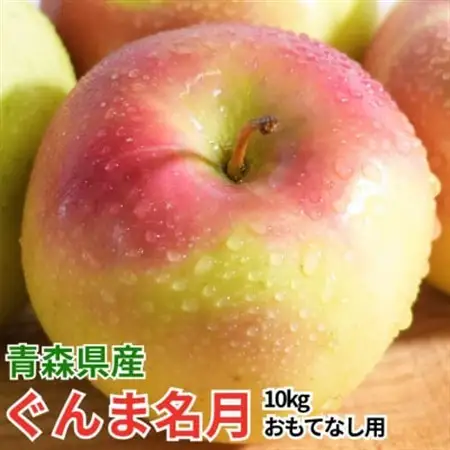 【12月出荷予定】平均糖度13度以上! ぐんま名月 約10kg おもてなし用【配送不可地域：離島・沖縄県】【1668011】