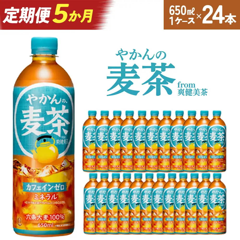 【5か月連続お届け】やかんの麦茶 from 爽健美茶 650ml PET×24本　【04301-0925】