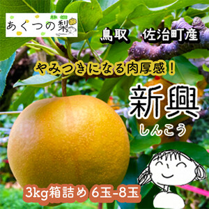 新興梨 3kg箱詰め(鳥取県佐治町産) [あくつの梨]