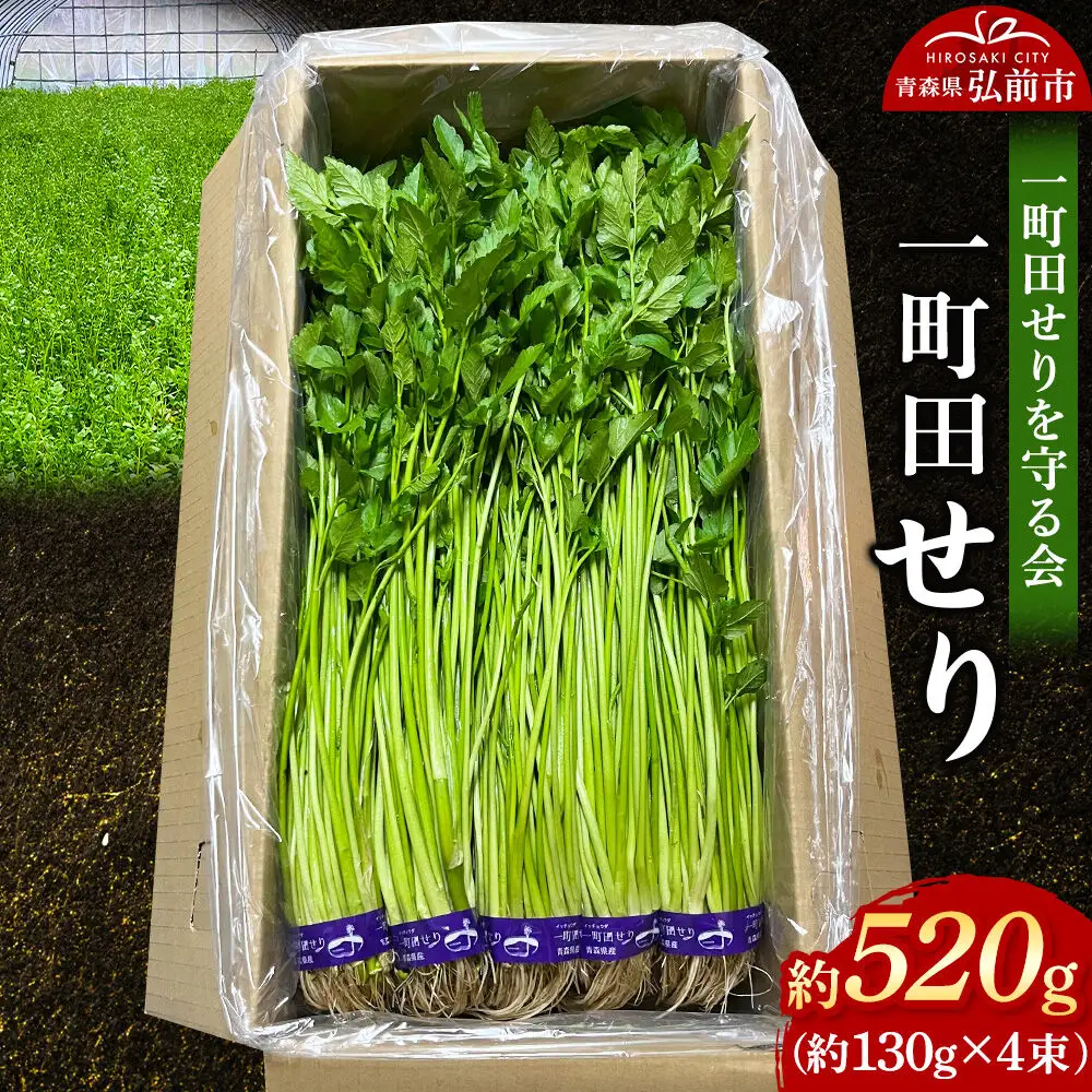 【26年11月～発送】野菜 一町田せり 約520g（約130g×4束）せり 七草 先行受付