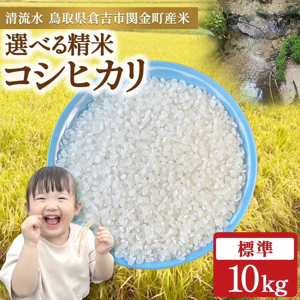 令和8年産米 コシヒカリ 10kg（標準）新米 こしひかり