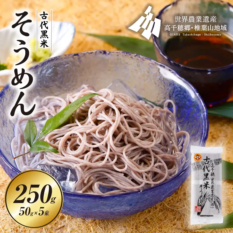 古代黒米そうめん 麺類 そうめん 素麺 麺 特産品 古代米 黒米 黒米そうめん お取り寄せ ご当地 グルメ 宮崎県 高千穂町 _Tk005-108