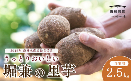 里芋 堀兼の里芋 自宅用  2.5㎏ | 市川農園 狭山市 埼玉県
