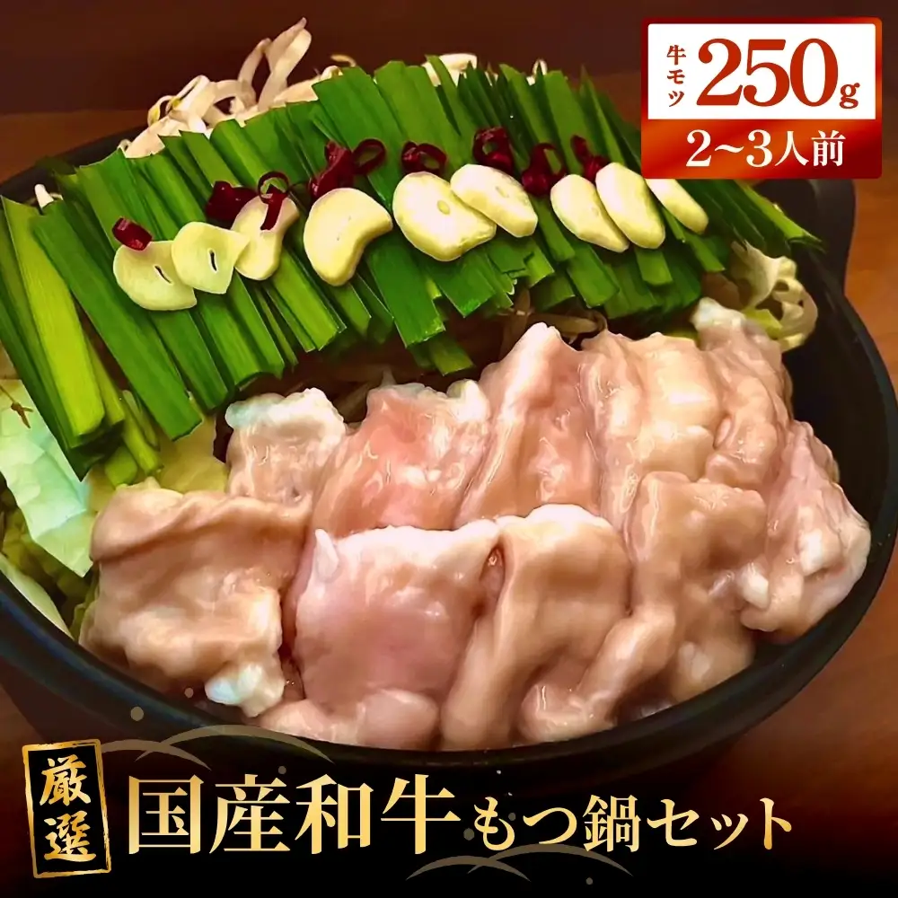 もつ鍋セット（2-3人前）国産 国産牛 牛もつ鍋 もつ鍋 鍋 牛モツ 和牛モツ ホルモン 鍋セット 2-3人前 ご当地グルメ お取り寄せ 宮城県 宮城 石巻市 石巻