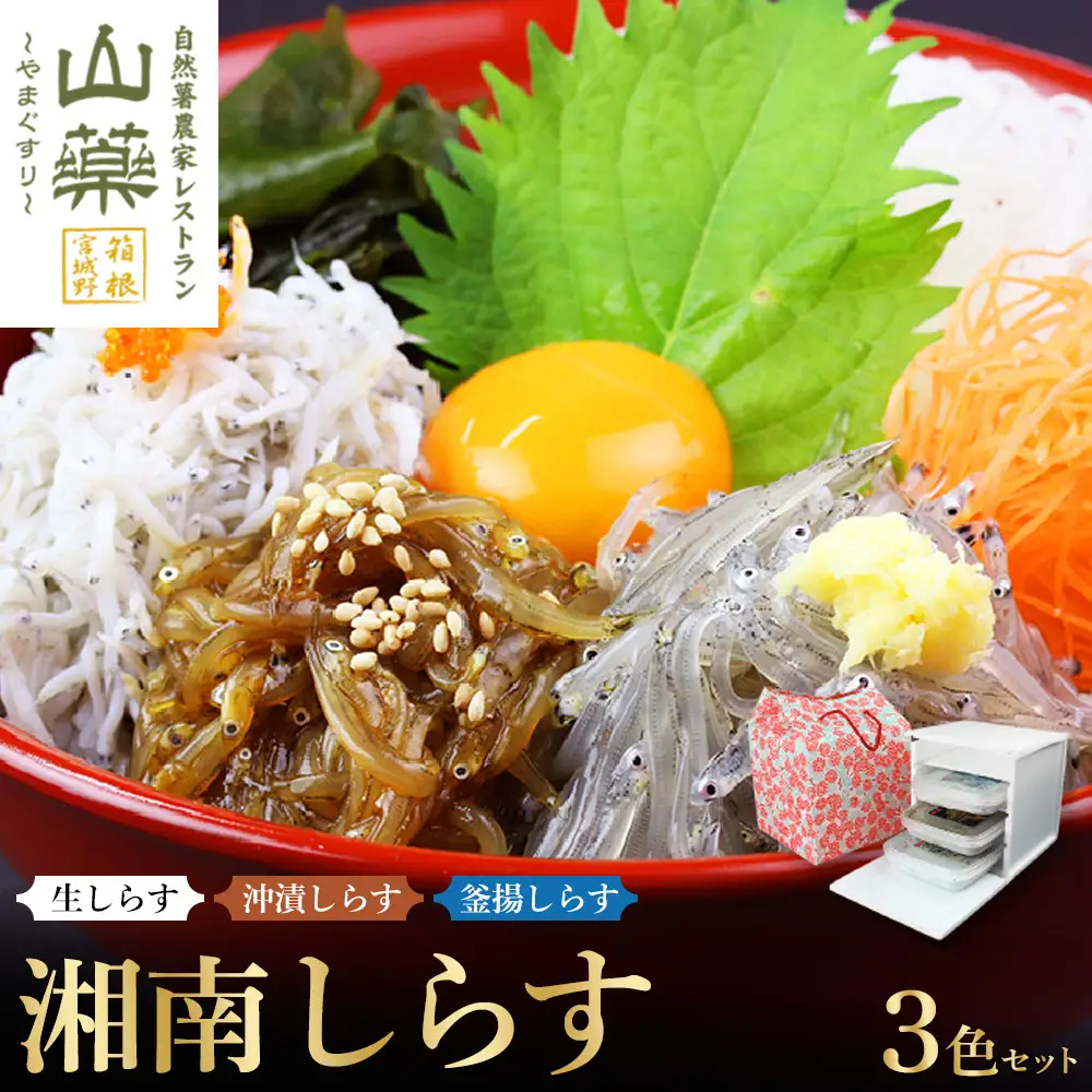 湘南しらす　3色セット｜魚介 湘南産しらす 食べ比べ 人気 おすすめ しらす 小魚 海産物 おつまみ 冷凍 食品 加工品 おすすめ 人気 送料無料 神奈川県 小田原市