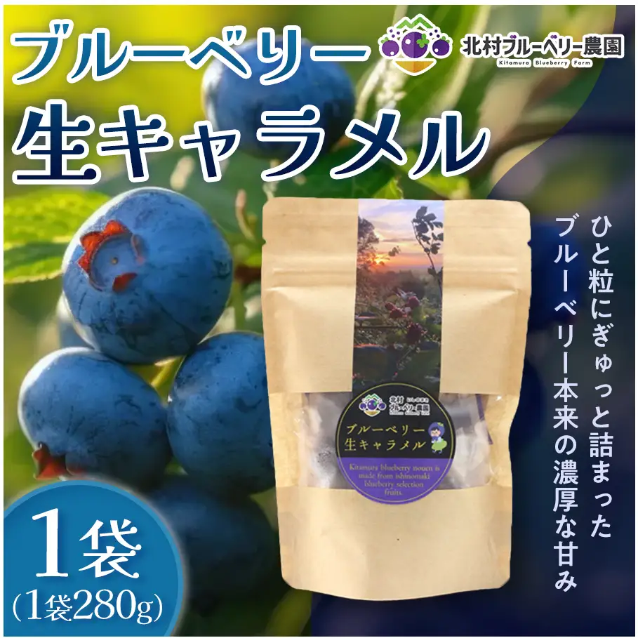 ＜ 先行予約 ＞ ブルーベリー 生キャラメル 280g 無添加 摘みたて 自然栽培 手作り 果実 100% キャラメル アントシアニン トッピング 石巻市産 宮城県 石巻市