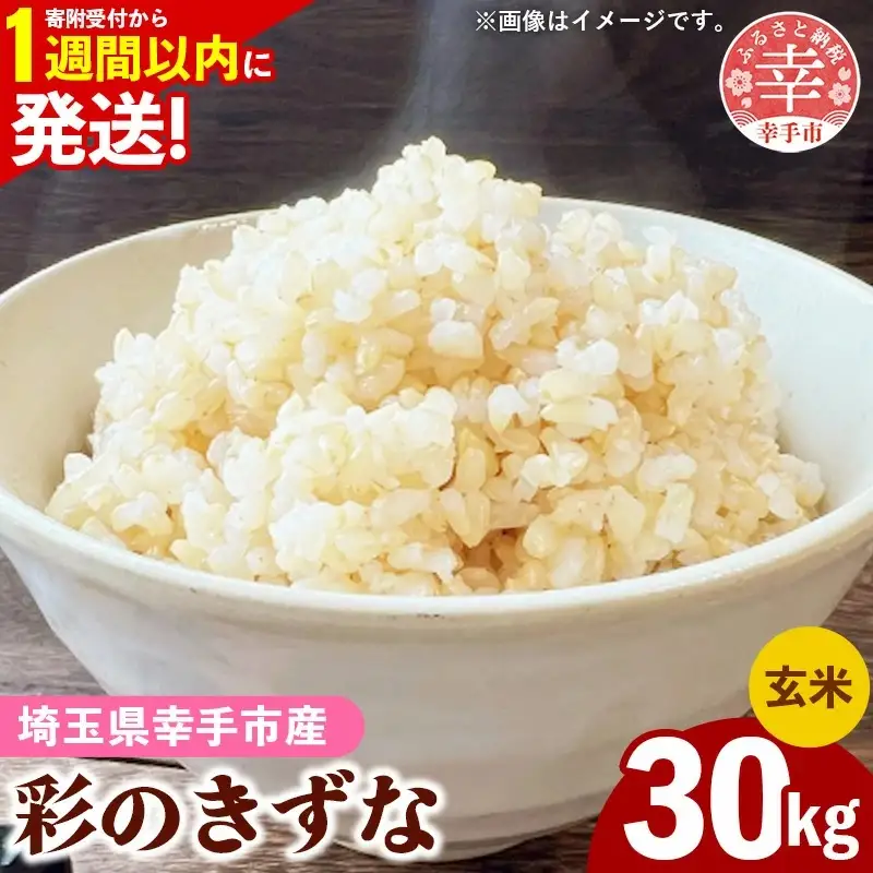 令和7年産【彩のきずな】玄米30kg 色彩選別済 Brown Rice - お米 ごはん