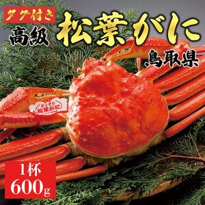 【2026年11月発送】特撰 松葉がに（茹）【ブランドタグ付き】600g超のサイズ  1杯