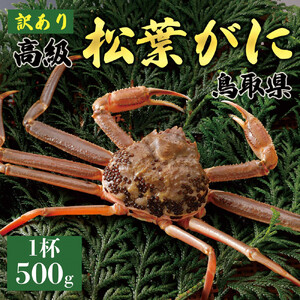 【2026年11月発送】特撰 松葉がに（なま）【訳あり】500g超のサイズ  1杯