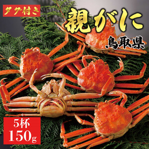 【2025年12月発送】鳥取県産 特撰 親がに 姿【セコガニ】（茹）150g 5杯