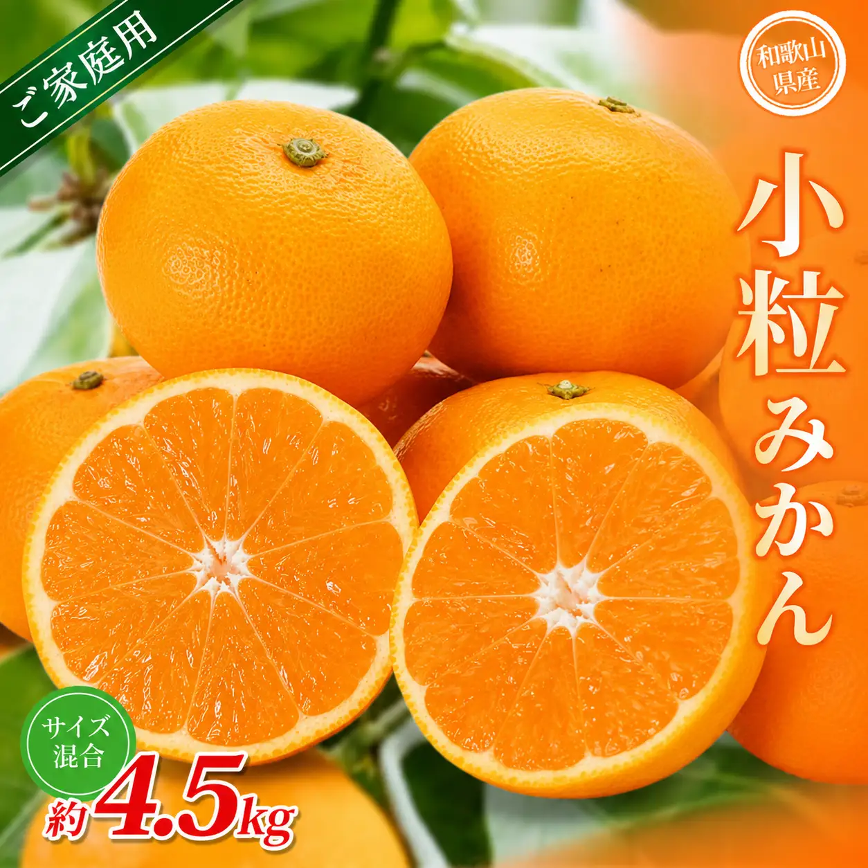 小粒みかん 約4.5kg 【家庭用】 森本農園の手選別 和歌山県産【BV-mrmt061】